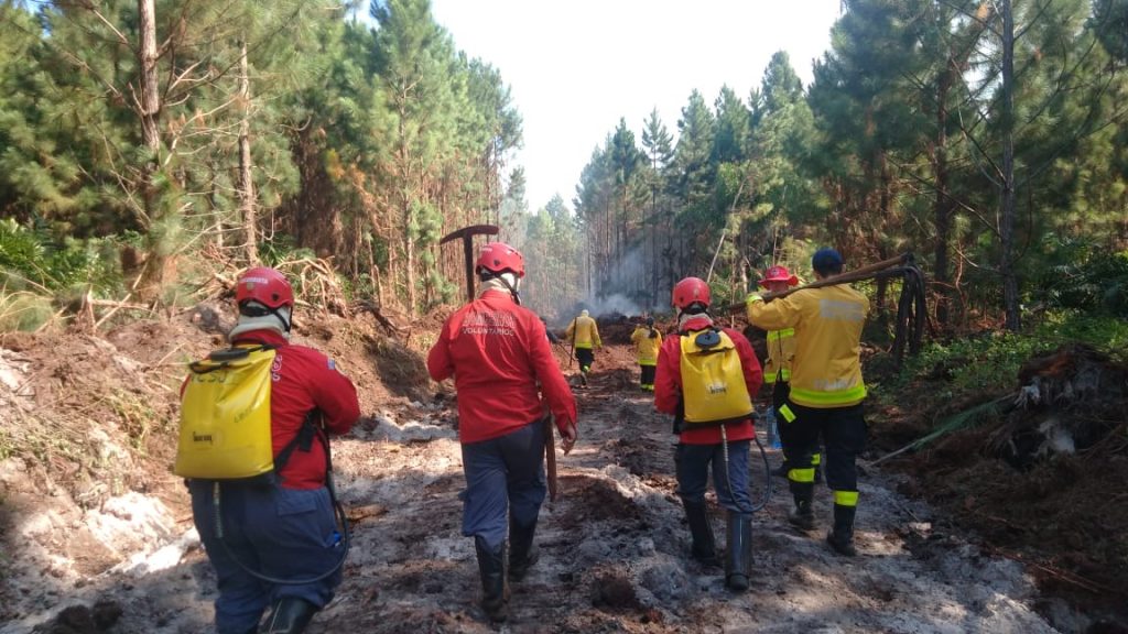 Corporações integram força-tarefa para combate a incêndio em Barra Velha 0