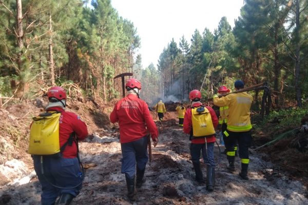 Corporações integram força-tarefa para combate a incêndio em Barra Velha 0